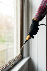 Get Rid of Ants in your Home Naturally and Easily