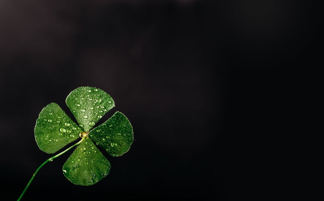 Four leaf clover lucky